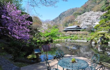 山月園の風景