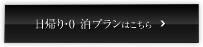 日帰り・0 泊プランはこちら